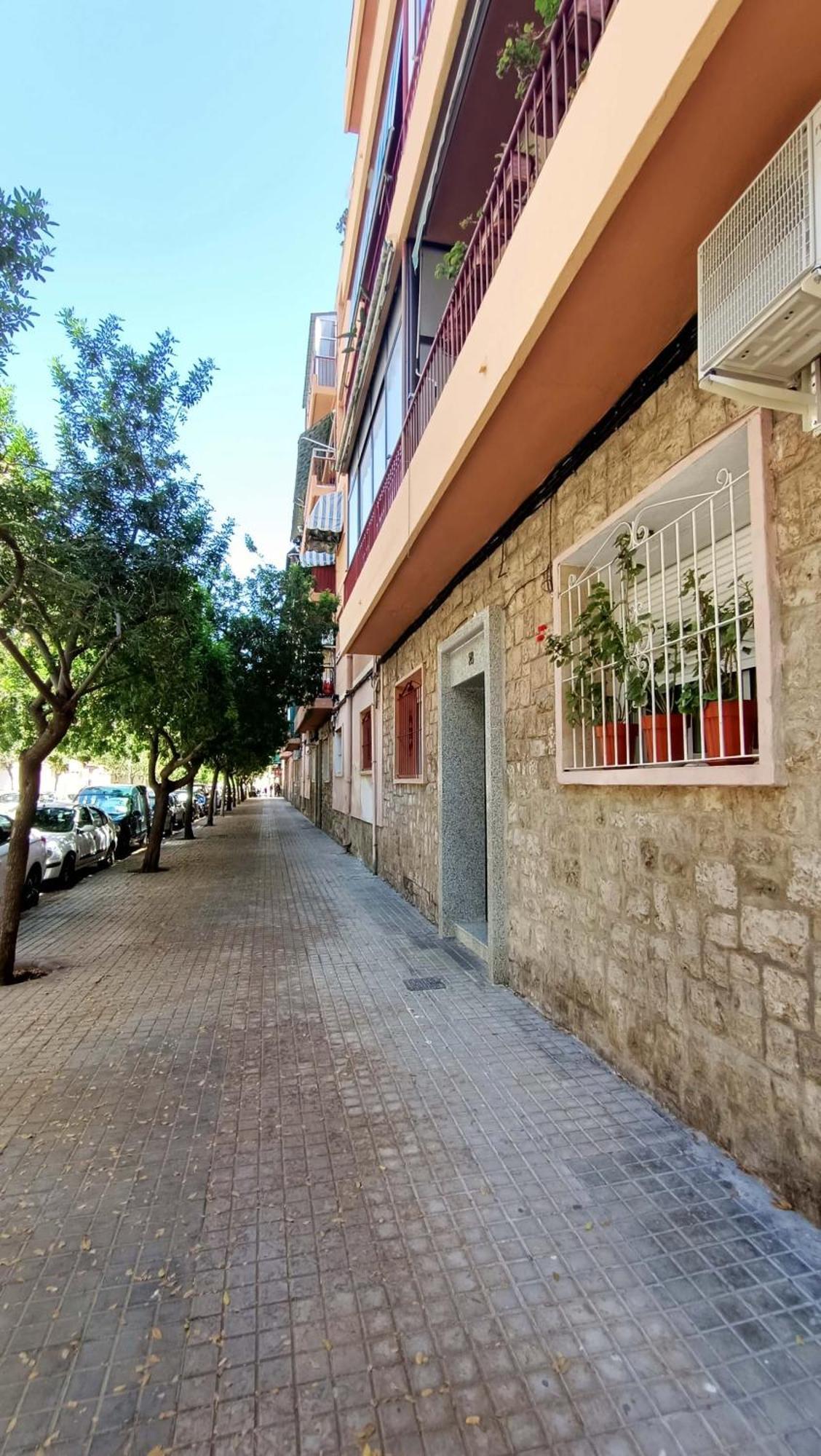 Apartamento Visitando A Mijail Alicante Exterior foto